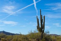 Unforgettable Scottsdale Experiences