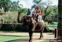 Bali’s Elephant Safari Lodge