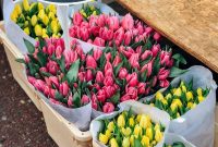 Amsterdam Eats: A Market Exploration