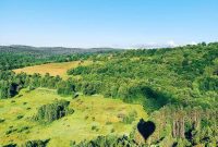 Your Ultimate Guide to Woodstock Vermont