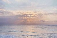 My Big News: A Life Unpacked