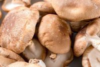 Shiitake: A Culinary Treasure