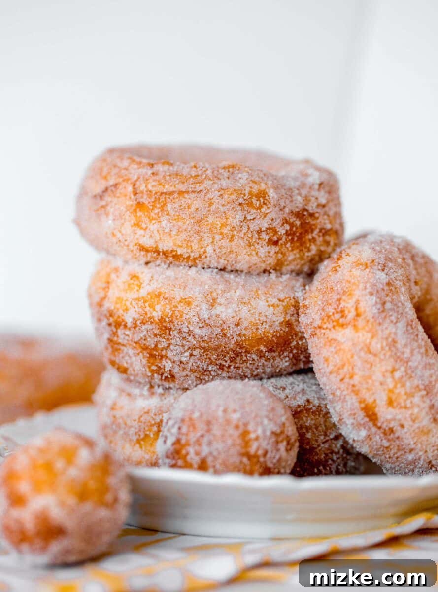 Easy Fluffy Biscuit Donuts 5 A beautifully arranged plate of freshly made biscuit sugared donuts, stacked with donut holes, ready to be served.