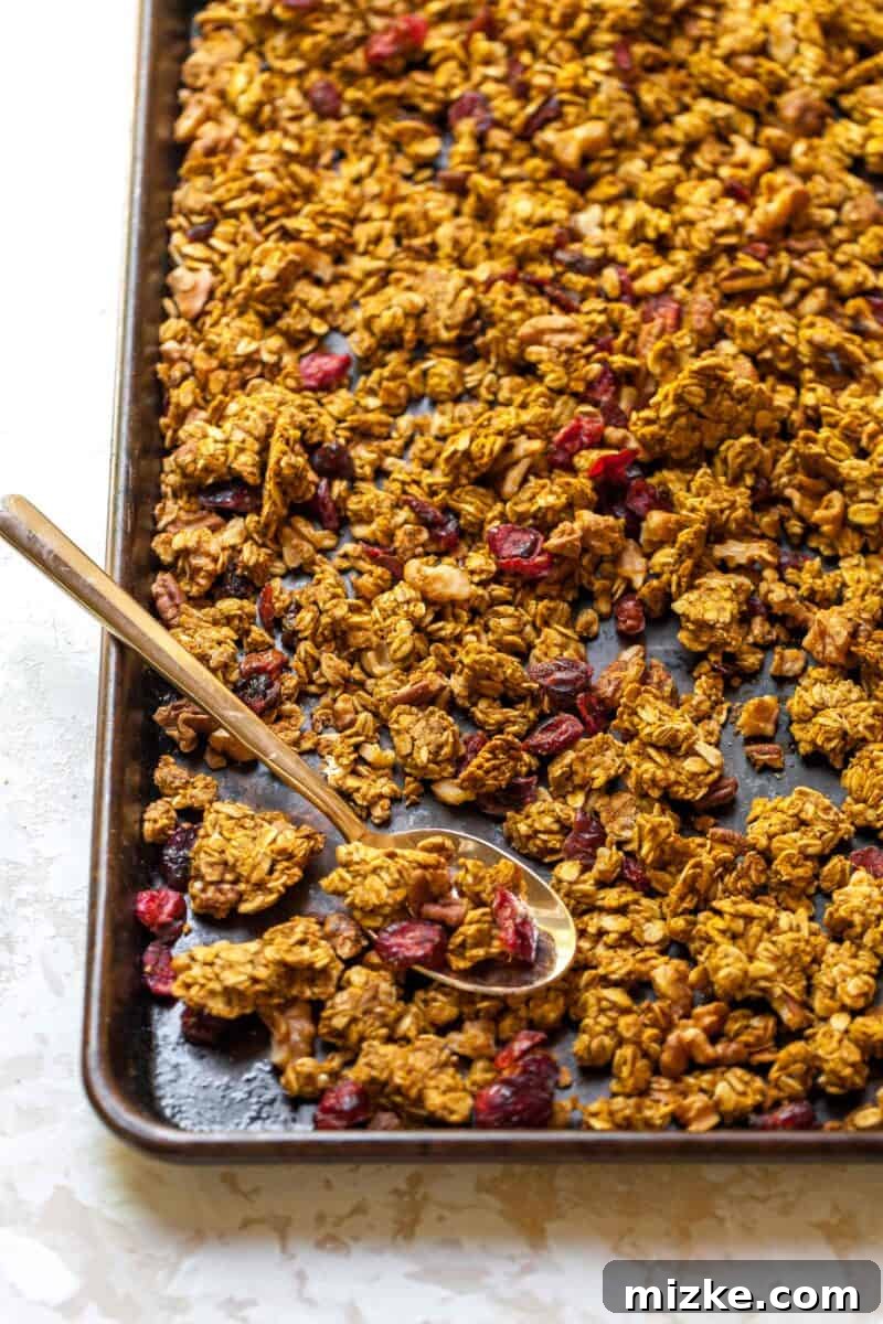 Spiced Pumpkin Cranberry Crunch 4 A bowl of Pumpkin Cranberry Granola, ready to be enjoyed with milk or yogurt, highlighting its appetizing look.