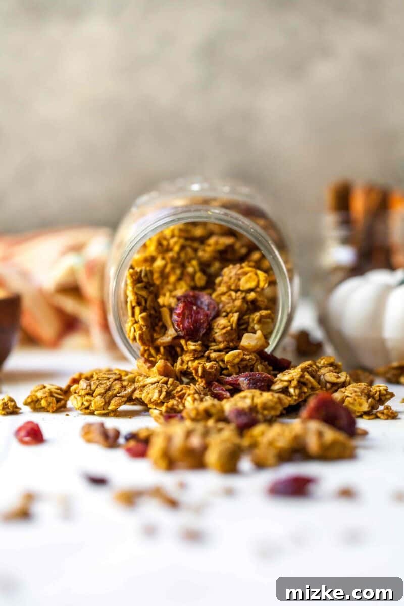 Spiced Pumpkin Cranberry Crunch 5 A serving of Pumpkin Cranberry Granola in a bowl, showcasing its crunchy texture and festive colors.