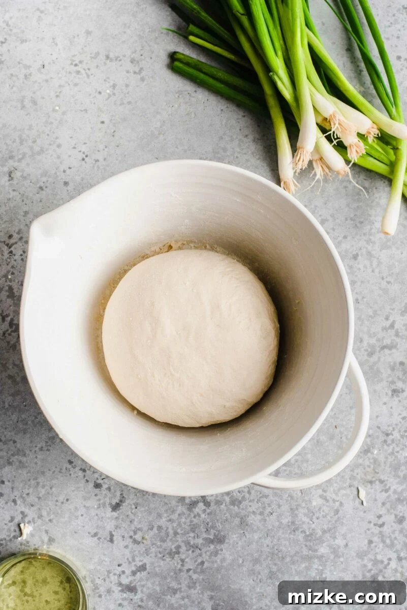 The foundation of perfect scallion pancakes: a well-rested, pliable dough ball, surprisingly easy to create with just flour and warm water. Overhead view of a smooth, rested scallion pancake dough ball in a mixing bowl, ready for the next step.