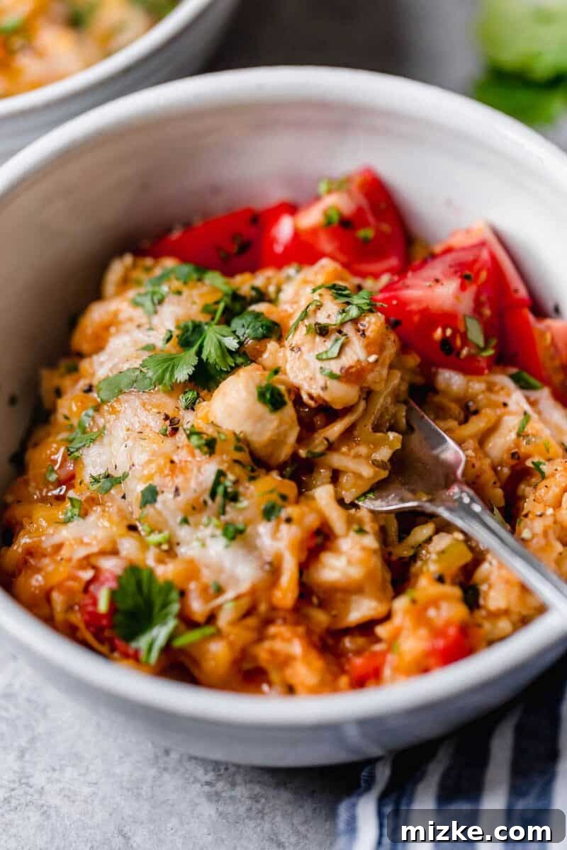 Fiesta Chicken Rice Bake 5 Bold flavors of Tex-Mex cuisine combined in this classic chicken and rice casserole make for an easy choice for weeknight dinner!