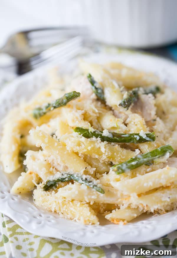 The rich texture of the penne pasta and sauce in the spring casserole. Close-up of the creamy sauce and penne pasta in the Roasted Asparagus and Chicken Penne Bake.