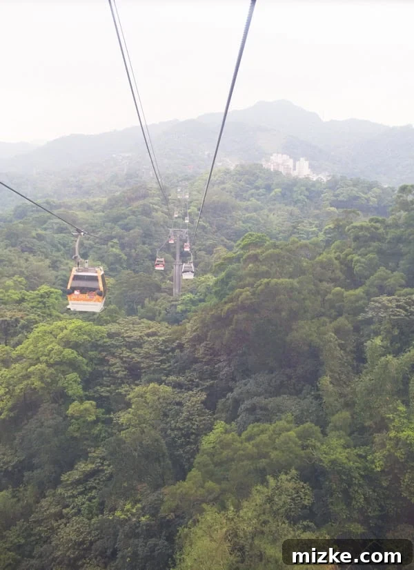 Stunning aerial view of Taipei from Maokong Gondola, with mountains and city in background
