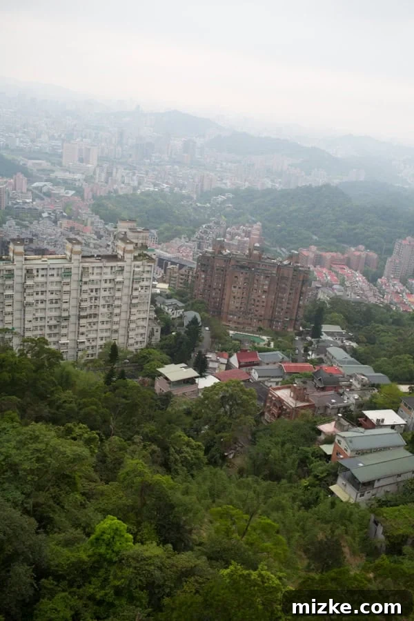 Maokong Gondola with tea plantations and green landscape below