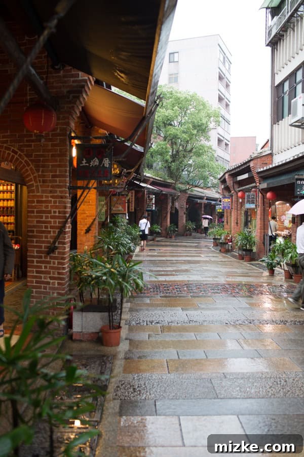 Exploring the Charming Shenkeng Tofu Street Shenkeng Old Street, Taipei's Tofu Capital