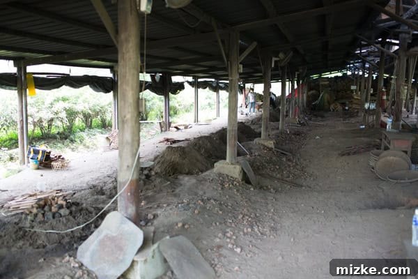 Hsinchu: Taiwan's Innovation Nexus 19 Mounds of dirt covering the cooking pits, where sweet potatoes, chicken, and corn are slow-cooking.