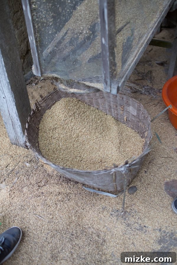 Hsinchu: Taiwan's Innovation Nexus 22 A detailed view of the antique rice mill, highlighting its robust construction.