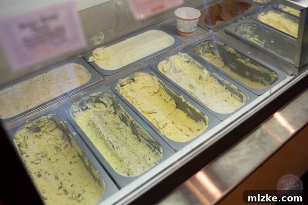 Scottsdale's Flavorful Finds 40 Hand-Crafted Ice Cream Flavors at Sweet Republic