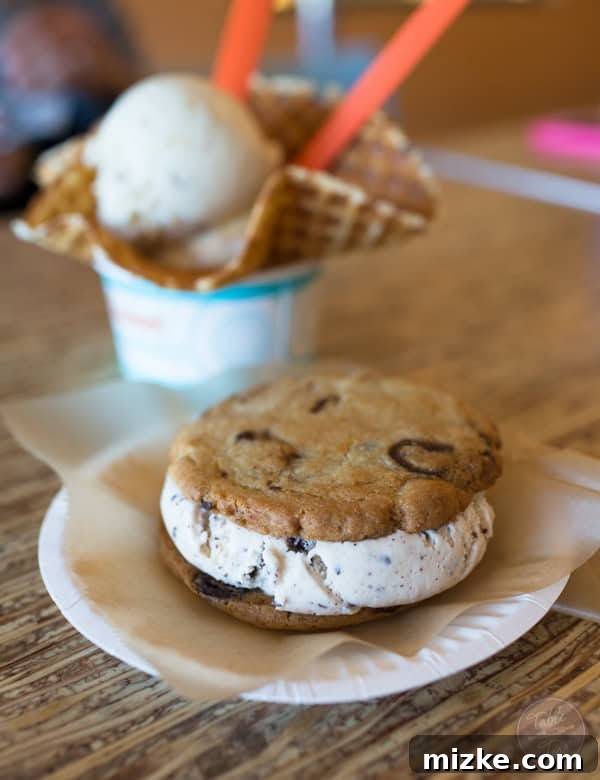 Scottsdale's Flavorful Finds 42 Creamy Ice Cream in a Waffle Cone