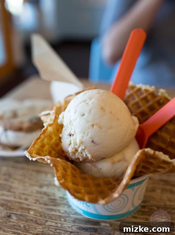 Scottsdale's Flavorful Finds 43 Variety of Desserts at Sweet Republic