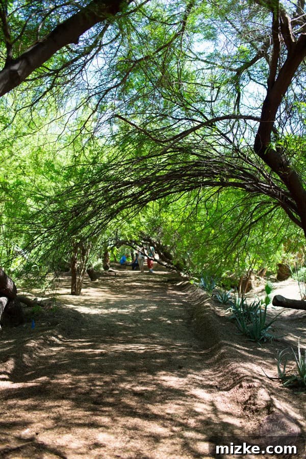Unforgettable Scottsdale Experiences 16 Vibrant Greenery and Pathways at Singh Farms