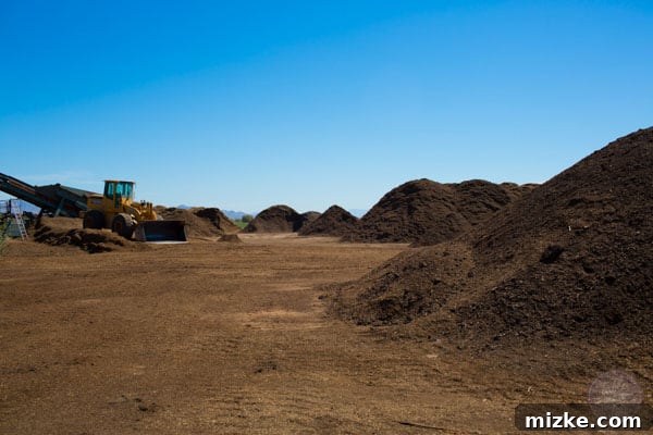 Unforgettable Scottsdale Experiences 19 Ken Singh's Compost Lot