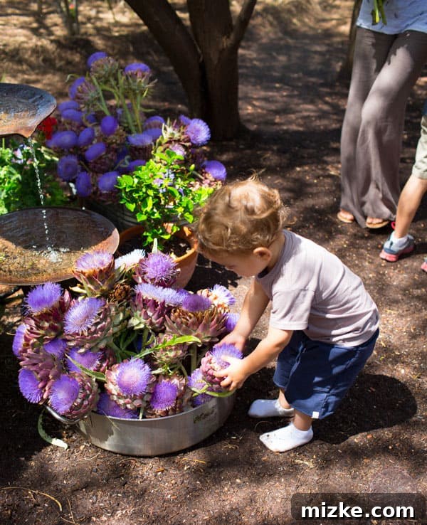 Unforgettable Scottsdale Experiences 27 Community at Singh Farms Market