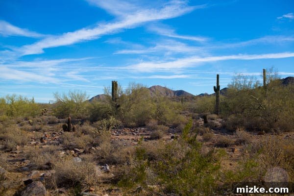 Unforgettable Scottsdale Experiences 30 Hiking the McDowell Sonoran Preserve