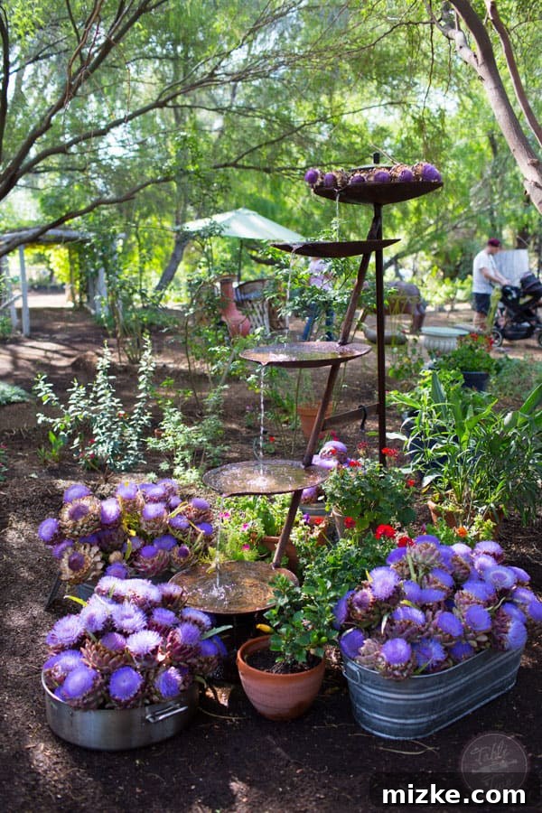 Unforgettable Scottsdale Experiences 4 Vibrant Artichoke Blooms at Singh Farms