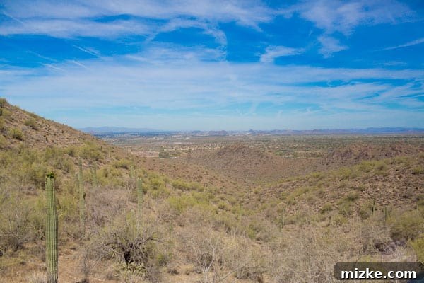 Unforgettable Scottsdale Experiences 38 Scenic View of McDowell Sonoran Preserve