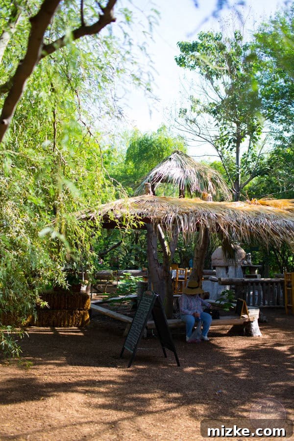 Unforgettable Scottsdale Experiences 5 Freshly Picked Produce at Singh Farms Market
