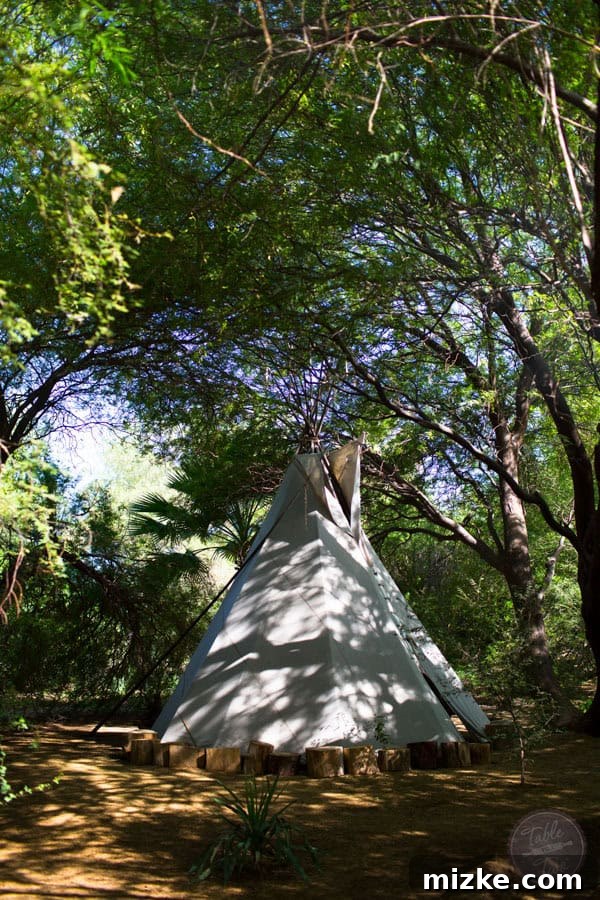 Unforgettable Scottsdale Experiences 8 Whimsical Teepee at Singh Farms
