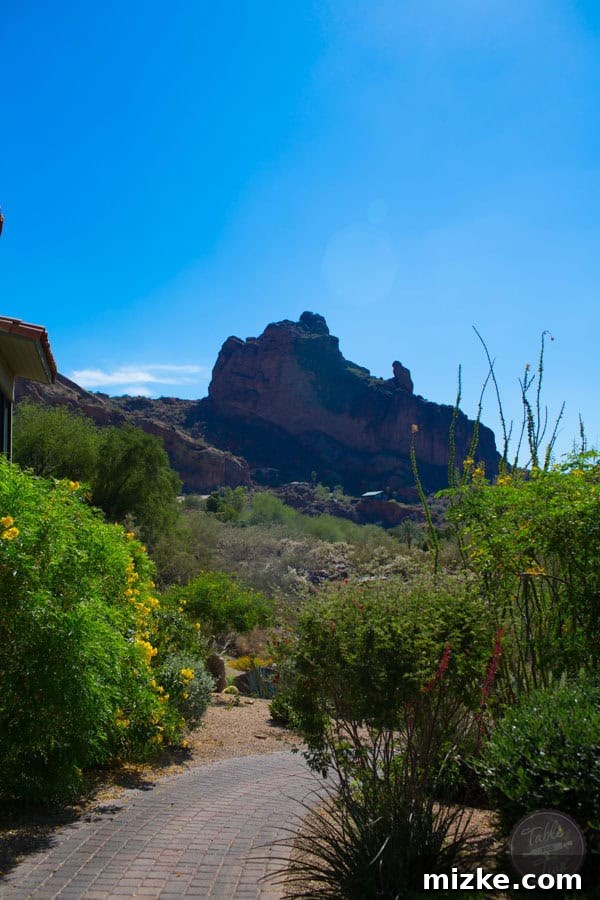 The Praying Monk rock formation on Camelback Mountain