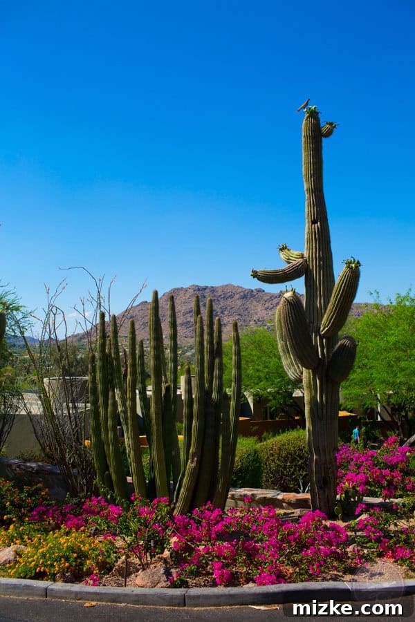 Reflective view from a resort suite showing mountain landscape