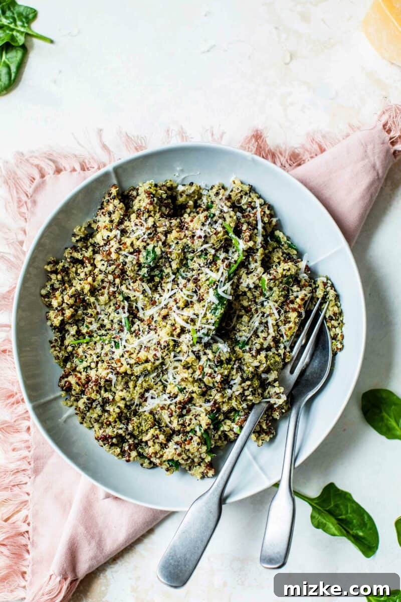 A vibrant spinach pesto quinoa bowl, ready to be enjoyed, showcasing fresh ingredients.
