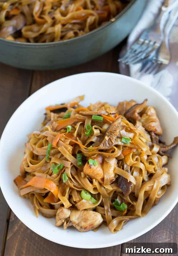 THAI CHICKEN CURRY NOODLE BOWLS 2 Delicious Thai Chicken Curry Noodles in a bowl, ready to be served