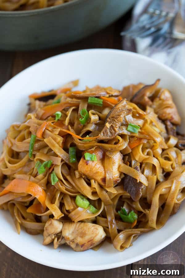 THAI CHICKEN CURRY NOODLE BOWLS 3 Close-up of vibrant Thai Chicken Curry Noodles with chicken and vegetables