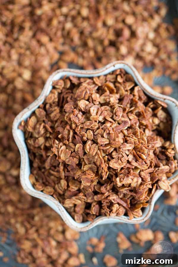 Decadent Chocolate Coconut Granola 3 Chocolate coconut granola combines two of the most delicious flavors! The perfect topping for your morning yogurt!