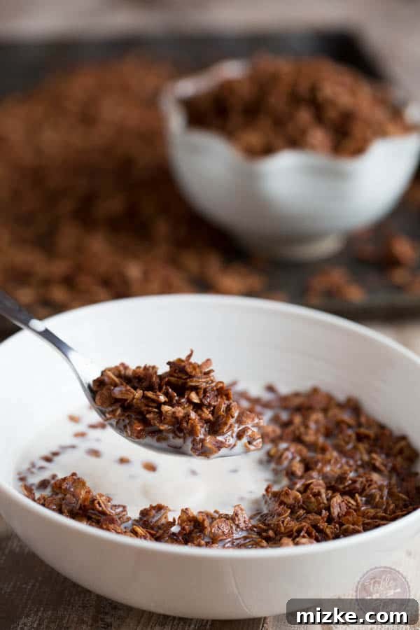 Decadent Chocolate Coconut Granola 6 Chocolate coconut granola combines two of the most delicious flavors! The perfect cereal for your mornings!