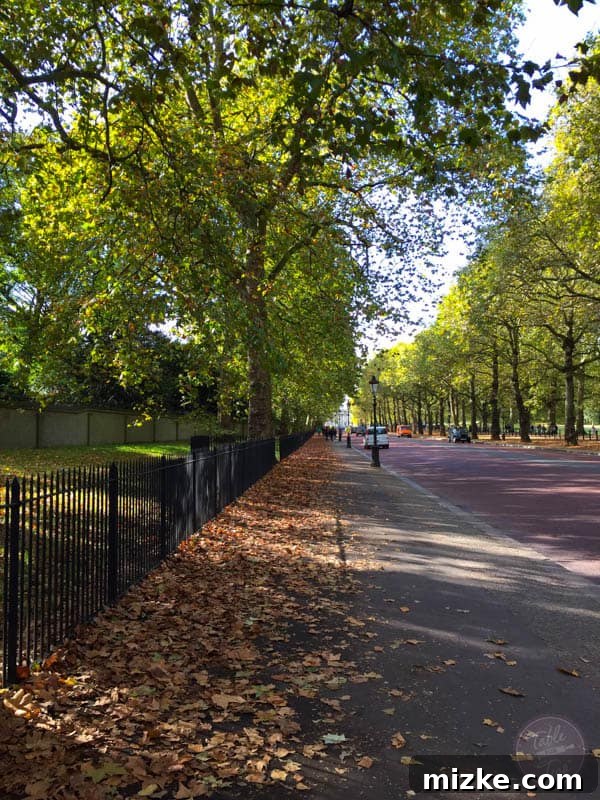 London: A Tourist's Delight 20 The Mall leading to Buckingham Palace in autumn