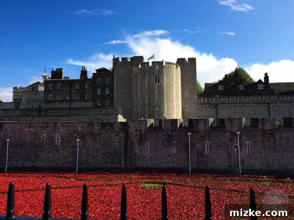 London: A Tourist's Delight 3 Red poppy art installation at the Tower of London