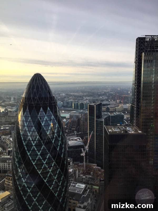 The Iconic Gherkin Building Close-up view of the Gherkin building from Duck and Waffle