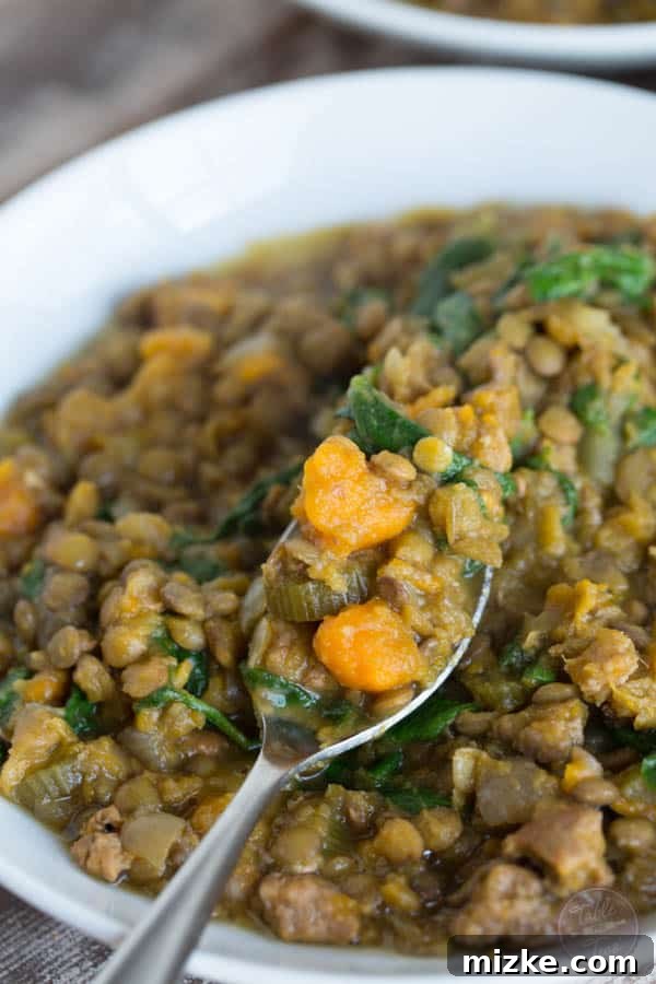 Slow Cooker Fiery Sausage and Lentil Comfort 5 A hearty bowl of slow cooker lentil and spicy sausage stew, garnished and ready to be served.