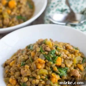A close-up shot of the finished slow cooker lentil and spicy sausage stew, showcasing its rich texture and appetizing appearance.