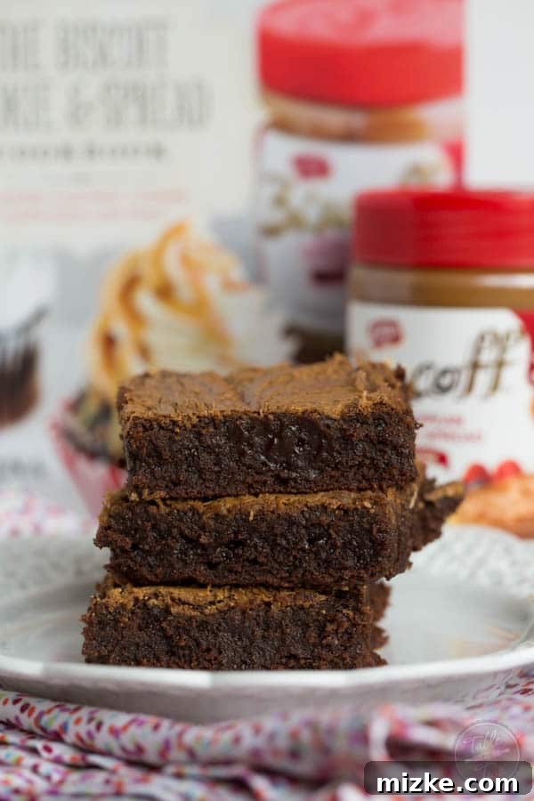 Caramelized Cookie Butter Swirl Brownies 2 A stunning close-up of fudgy Biscoff swirl brownies, showcasing the rich chocolate base and the enticing caramel-colored Biscoff swirl on top, promising a delightful texture and flavor.
