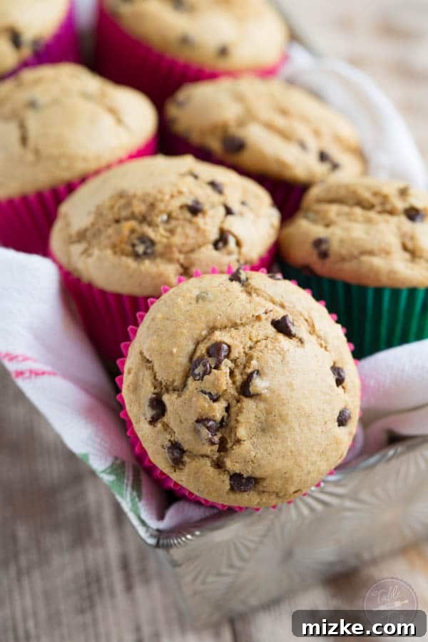 Pillowy Wholesome Wheat Chocolate Chip Delights 2 Discover the secret to these fluffy whole wheat blend chocolate chip muffins! They're healthier yet incredibly delicious, perfect for any time of day.