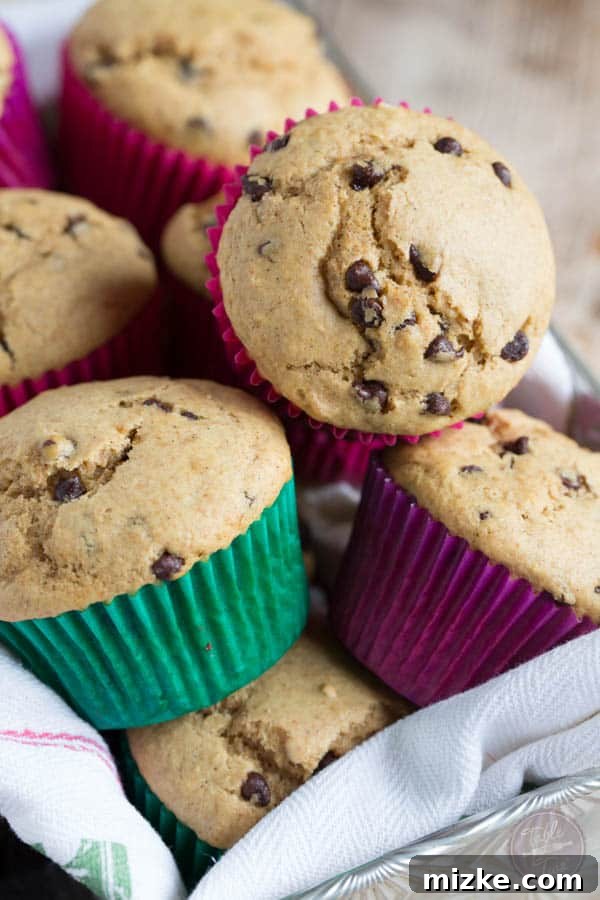 Pillowy Wholesome Wheat Chocolate Chip Delights 4 You're going to love these healthier fluffy whole wheat blend chocolate chip muffins! A perfect balance of taste and wholesome ingredients.
