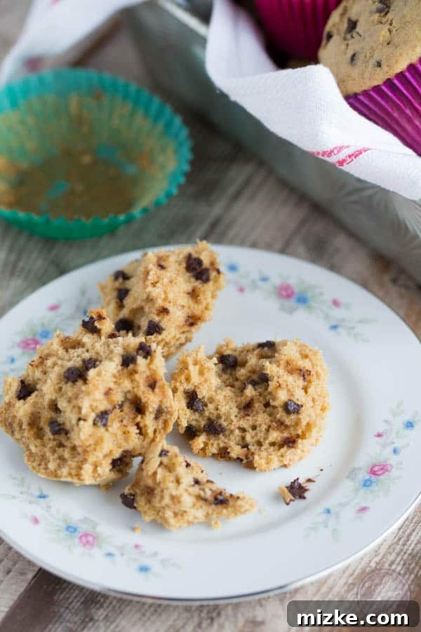Pillowy Wholesome Wheat Chocolate Chip Delights 6 Discover the secret to perfectly fluffy whole wheat blend chocolate chip muffins. A healthier and incredibly tasty treat you'll crave!