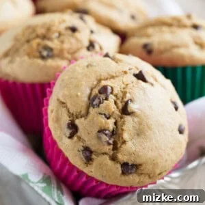A perfectly baked fluffy whole wheat blend chocolate chip muffin, showcasing its golden-brown top and delicious texture.