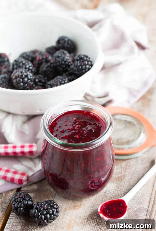 Zesty Blackberry Lemon Preserve 2 Vibrant, homemade blackberry lemon jam in a glass jar, perfectly set and ready to be enjoyed. A delightful blend of sweet and tart flavors awaits.