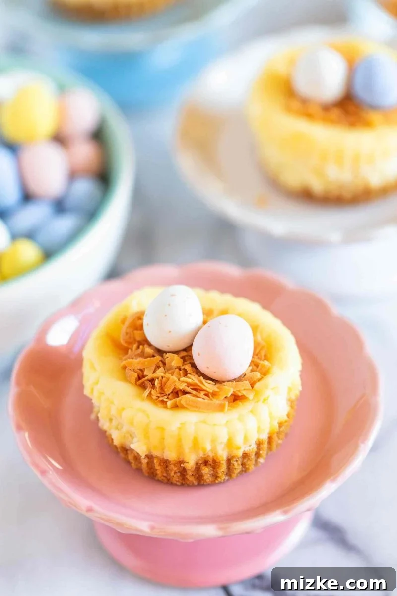Cheesecake Nest Bites 2 Adorable mini cheesecake nests with chocolate speckled eggs