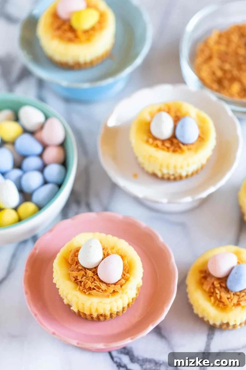 Cheesecake Nest Bites 3 Close-up of a mini cheesecake nest with toasted coconut and speckled chocolate eggs
