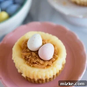 Cheesecake Nest Bites 8 Cute mini cheesecake nests are perfect for Easter!