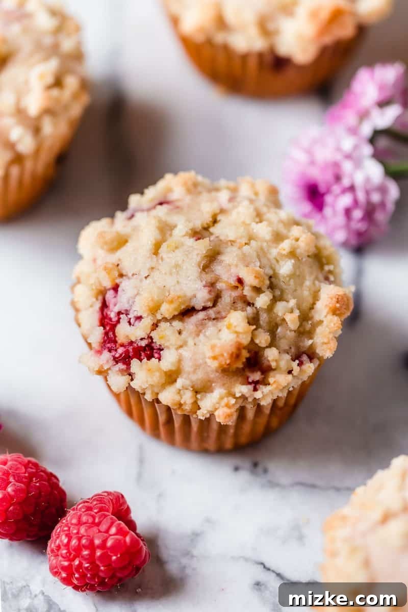 Zesty Lemon Raspberry Streusel Muffins 3 Close-up of a Raspberry Lemon Streusel Muffin revealing its moist interior and vibrant raspberry pieces.